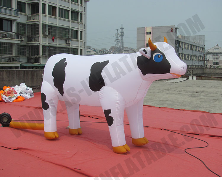 Inflatable model detailed description 4 Detailed description 4