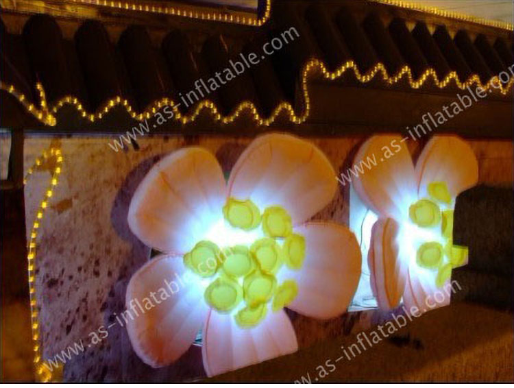 Inflatable star detailed description 5 Detailed description 5