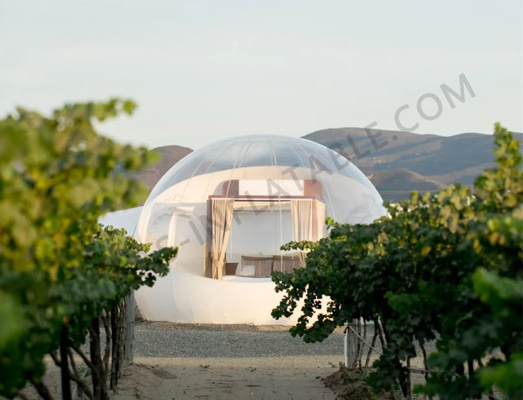 Transparent Bubble Housedetailed description 1 Detailed description 1